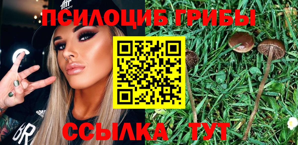 Галлюциногенные грибы мухоморы  Галлюциногенные грибы мухоморы  Вход с VPN  магазин продажи наркотиков  Черкесск 