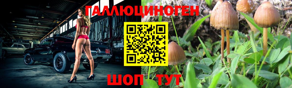 Псилоцибиновые грибы MAGIC MUSHROOMS Черкесск